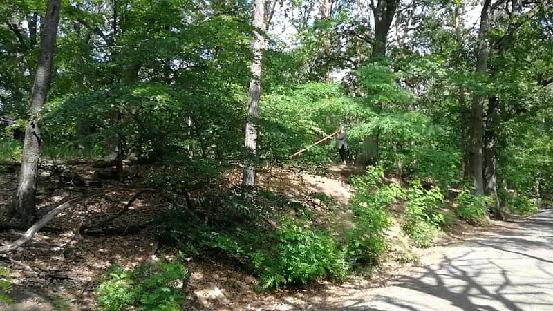 View of Kleiner Müggelberg in Müggelsberge, BE