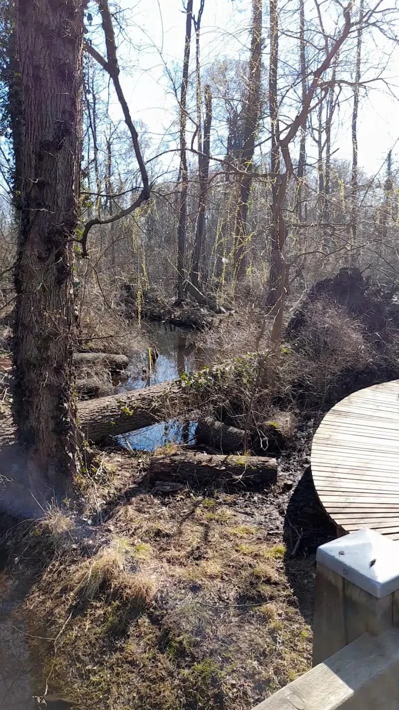 View of Kleiner Spreewald in Fürstenwalde, BB