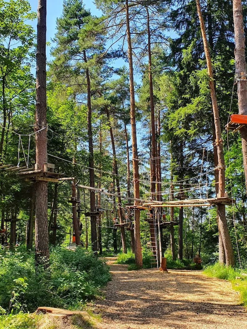 View of Kletterpark Waldbad Anif Salzburg in Salzburg, SBG