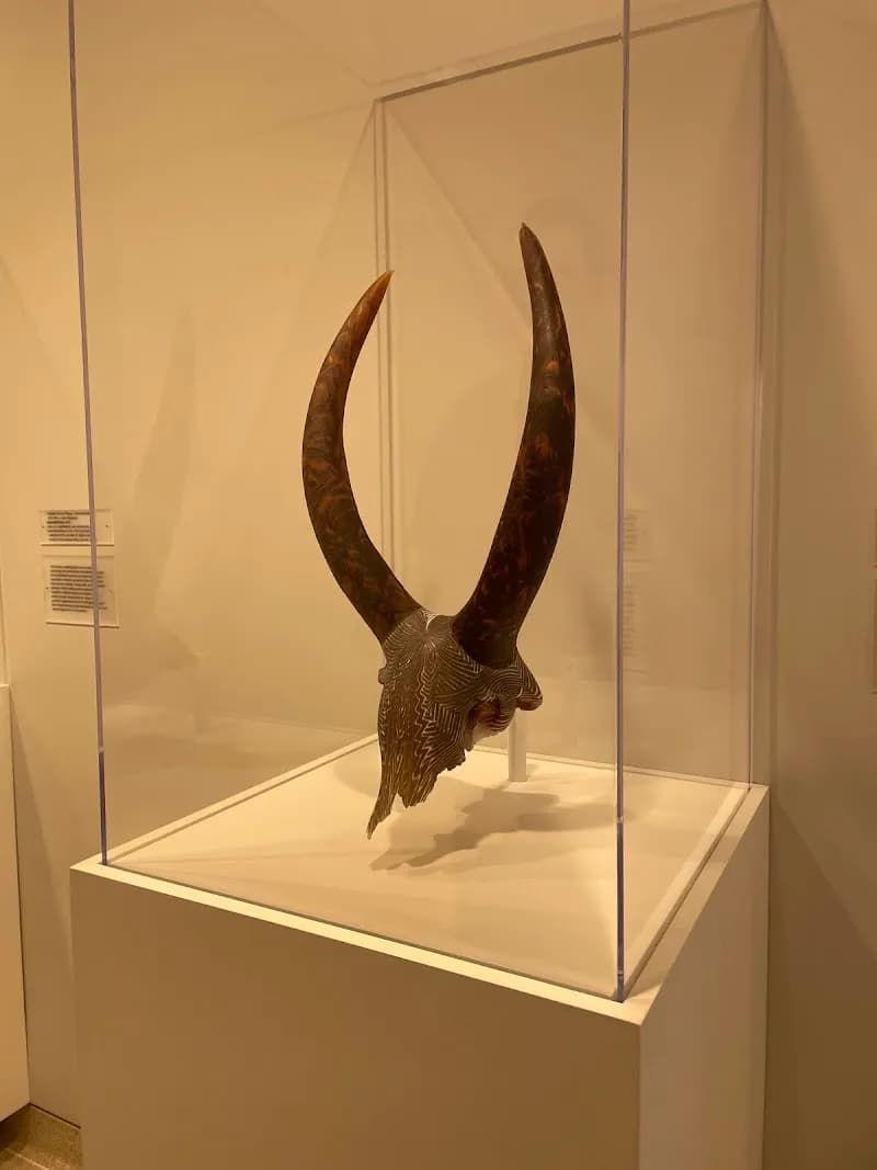 View of Knoxville Museum of Art in Knoxville, TN