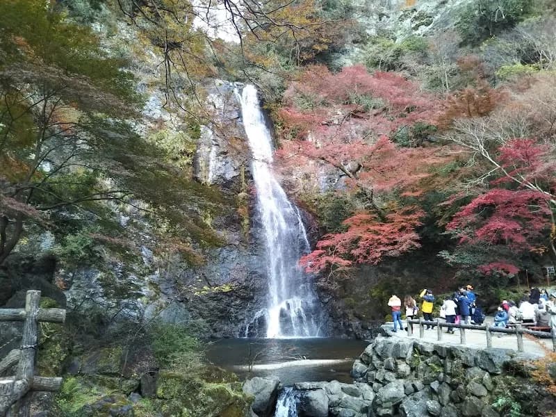 Kobe Cherrytei Ramen in Mino, Osaka