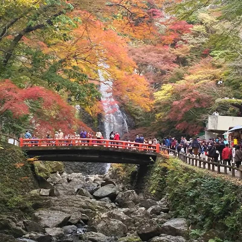 View of Kobe Cherrytei in Mino, Osaka