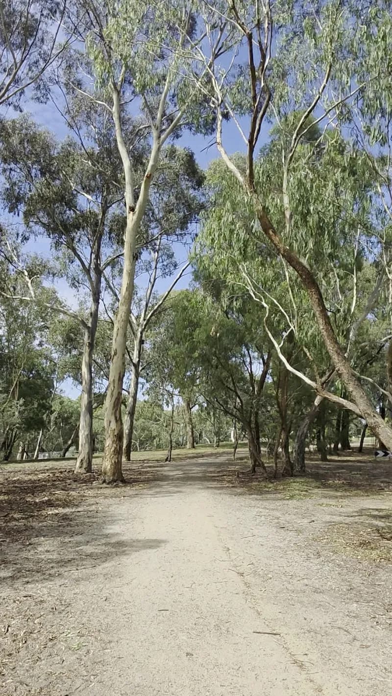 View of Koonung Creek Reserve in Box Hill, VIC