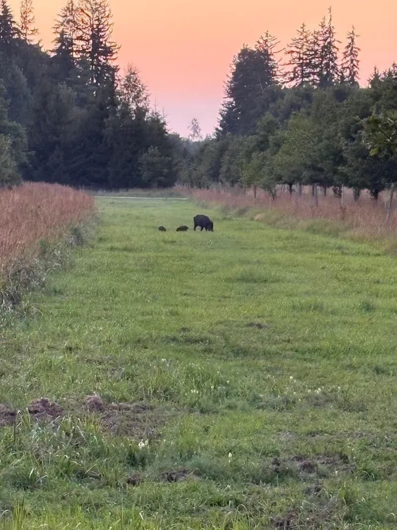 Kranzebach Stream Adventure Trail outdoor adventure in Martinsried, BY