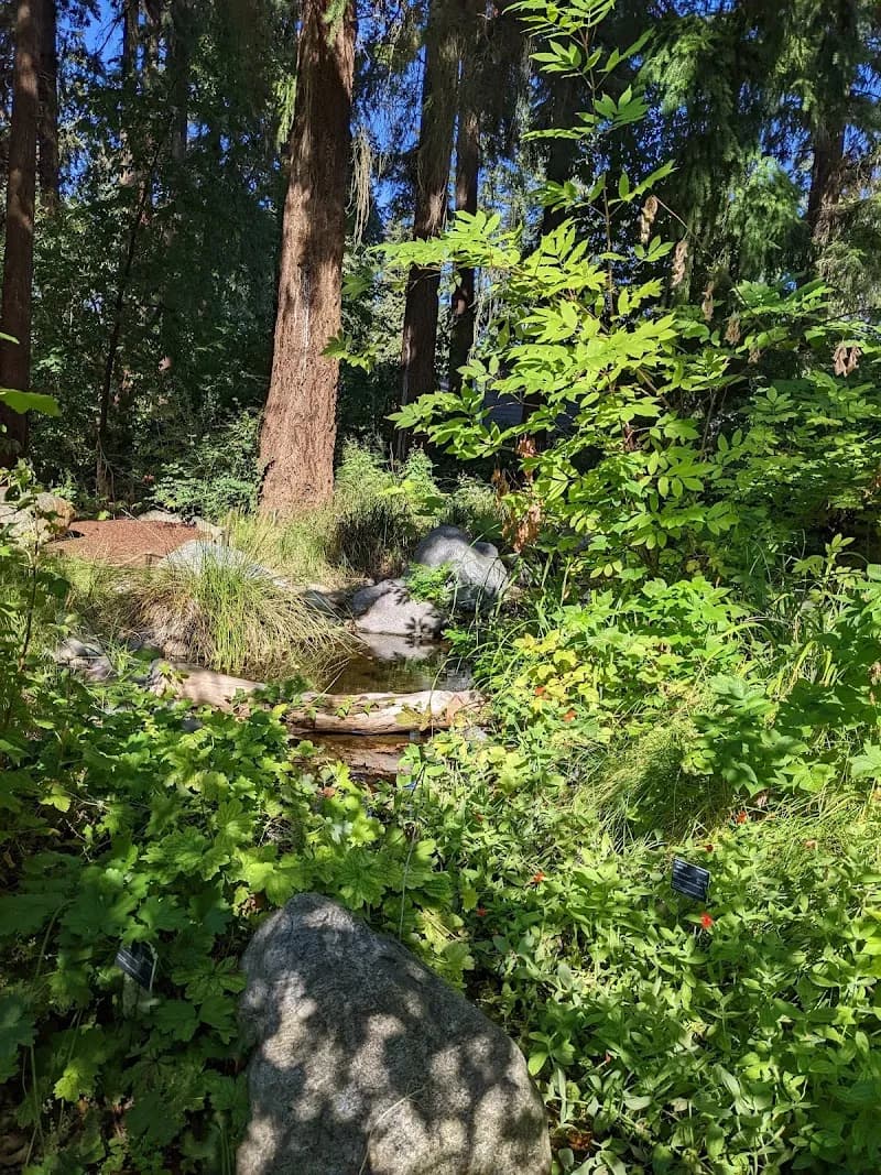 View of Kruckeberg Botanic Garden in Shoreline, WA