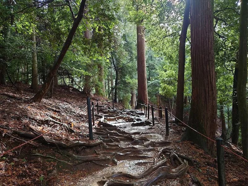View of Kurama Mountain Trail in Kurama, KYO