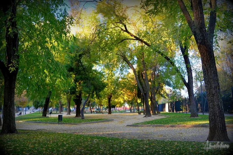 La Chopera Park park in Pozuelo de Alarcón, Madrid