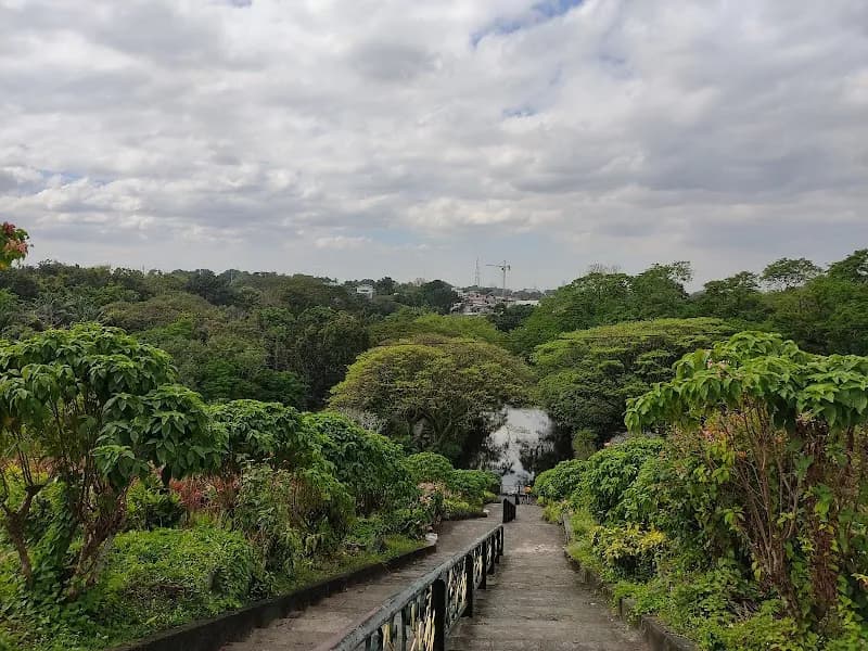 View of La Mesa Ecopark in Quezon City, NCR