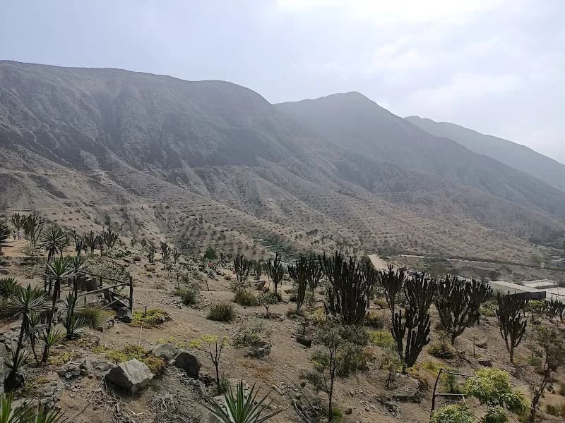 La Molina Ecological Park park in La Molina, Lima