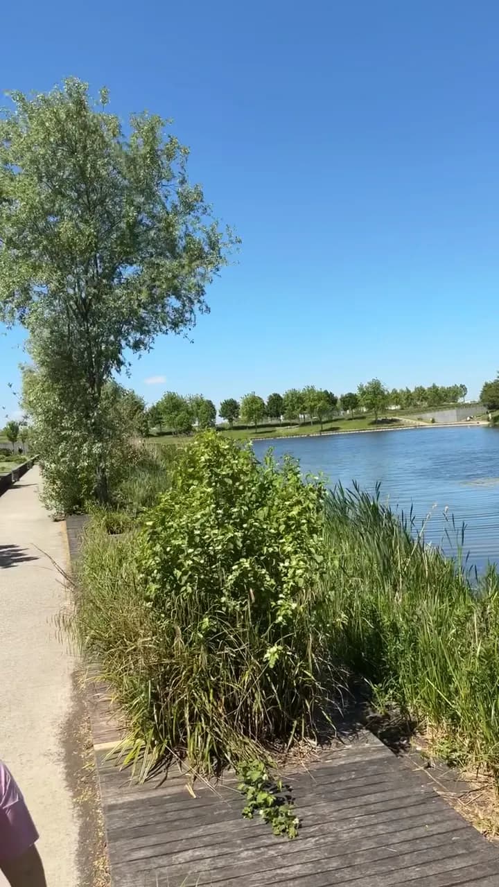 View of Lac de Serris in Chessy, IDF