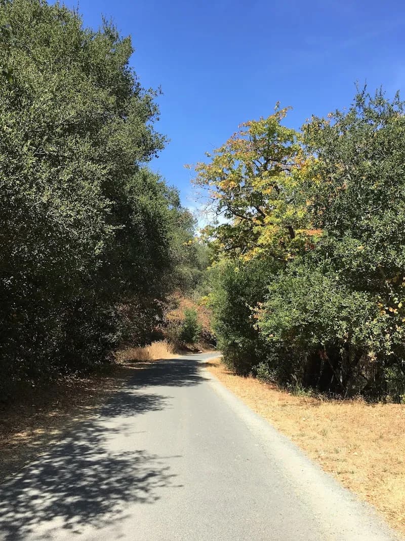 View of Lafayette/Moraga Regional Trail in Lafayette, CA