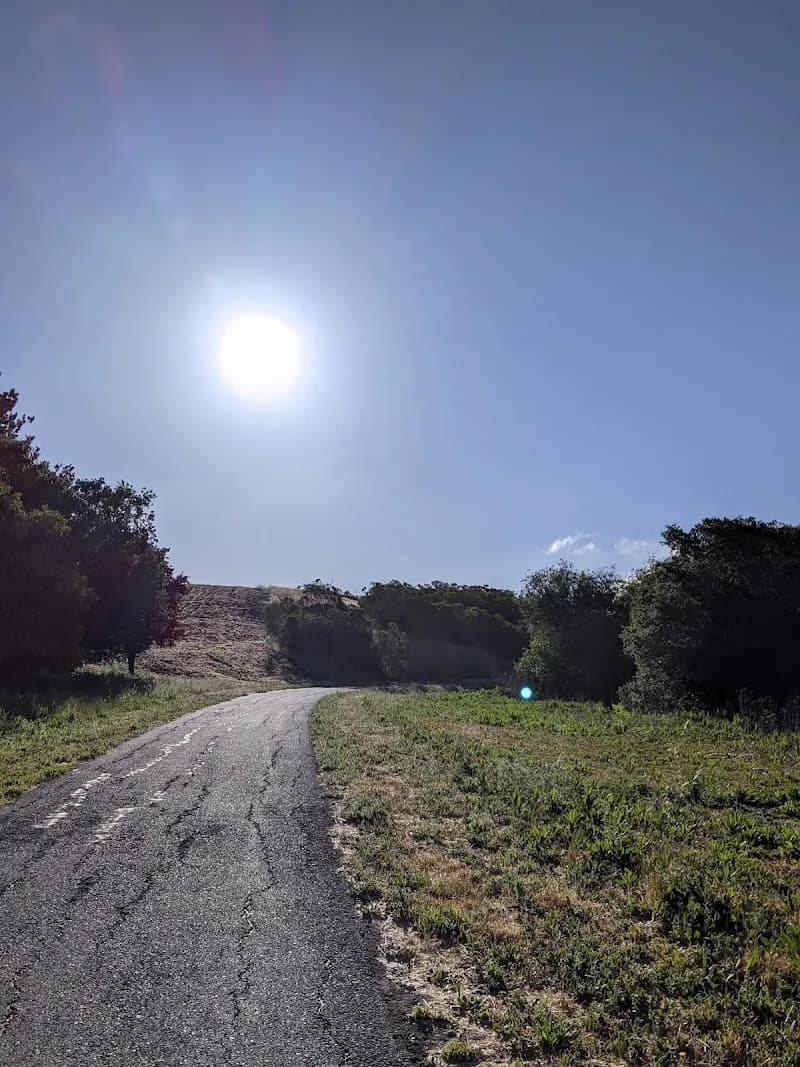 View of Lafayette/Moraga Regional Trail in Lafayette, CA