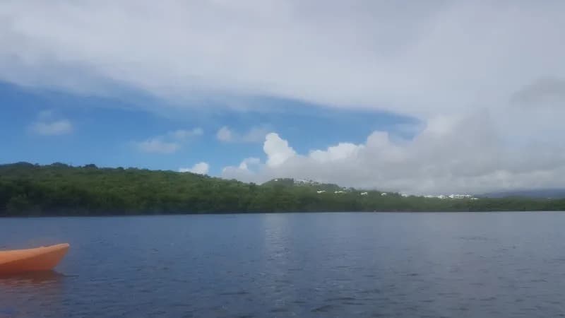 Laguna Grande nature in Loíza, PR
