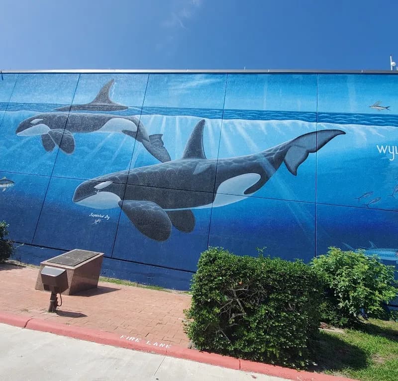 View of Laguna Madre Nature Trail in South Padre Island, TX