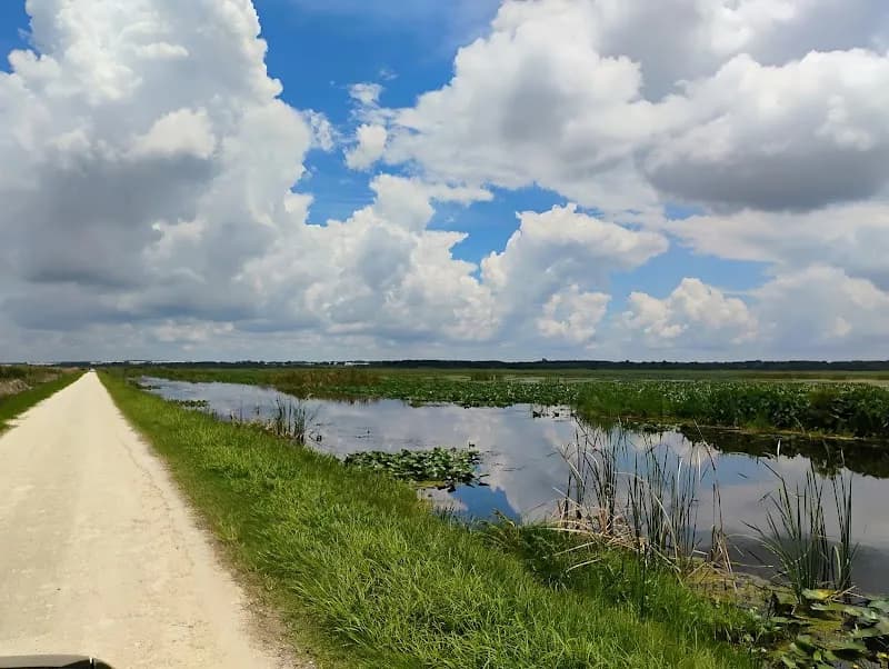 View of Lake Apopka Wildlife Drive in Apopka, FL