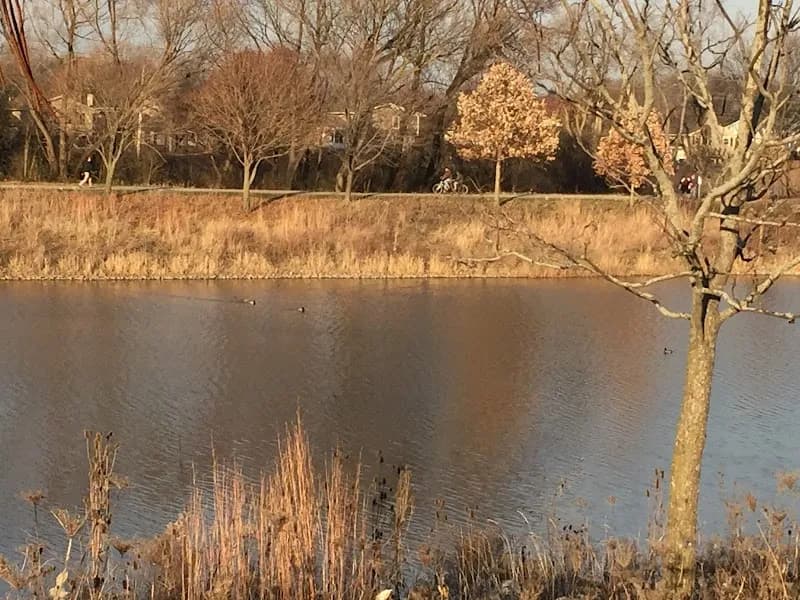 View of Lake Arlington in Arlington Heights, IL