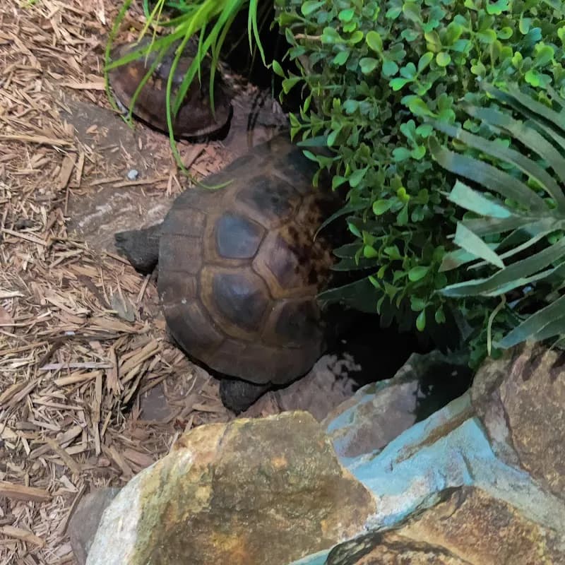 View of Lake Erie Nature & Science Center in Bay Village, OH