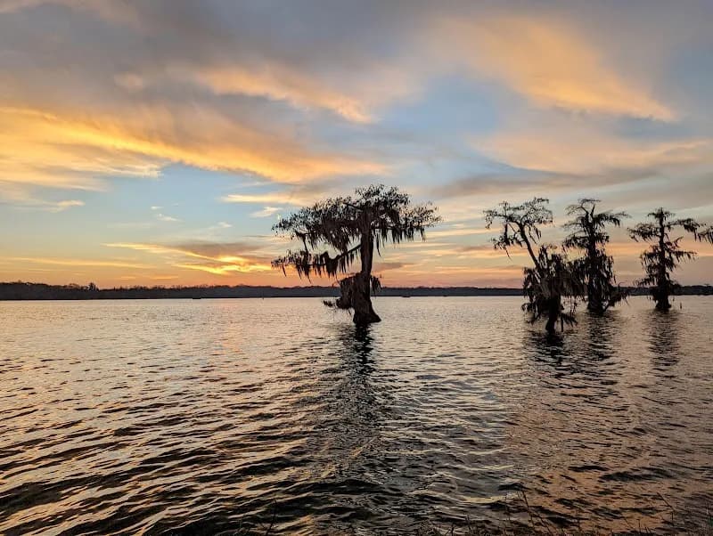 View of Lake Martin, LA in Lafayette, LA