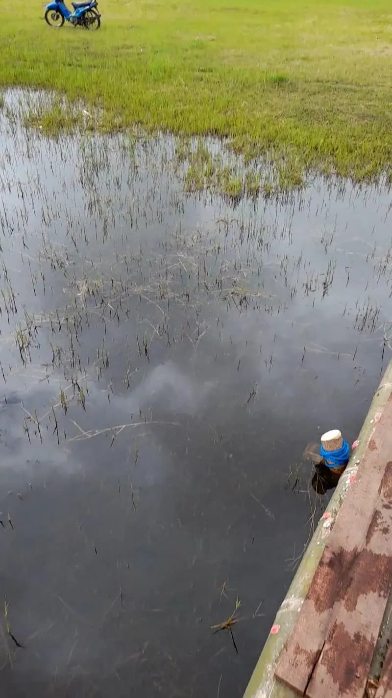 View of Lake Tamblingan in Jatiluwih, Bali