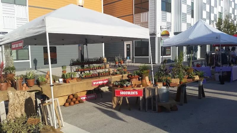 Lakeland Downtown Farmers Curb Market farmers market in Lakeland, TN