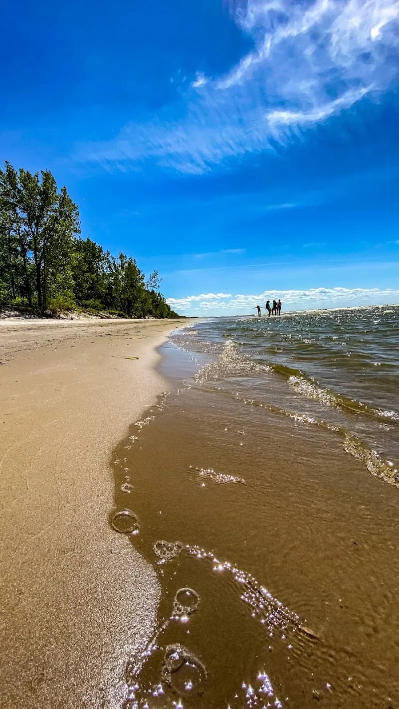 Lakeview Wildlife Management Area - South Sandy Creek Car Top Boat Launch nature preserve in Lockport, NY