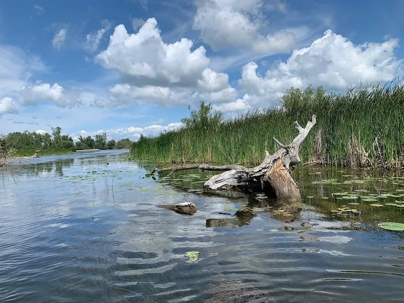 View of Lakeview Wildlife Management Area - South Sandy Creek Car Top Boat Launch in Lockport, NY