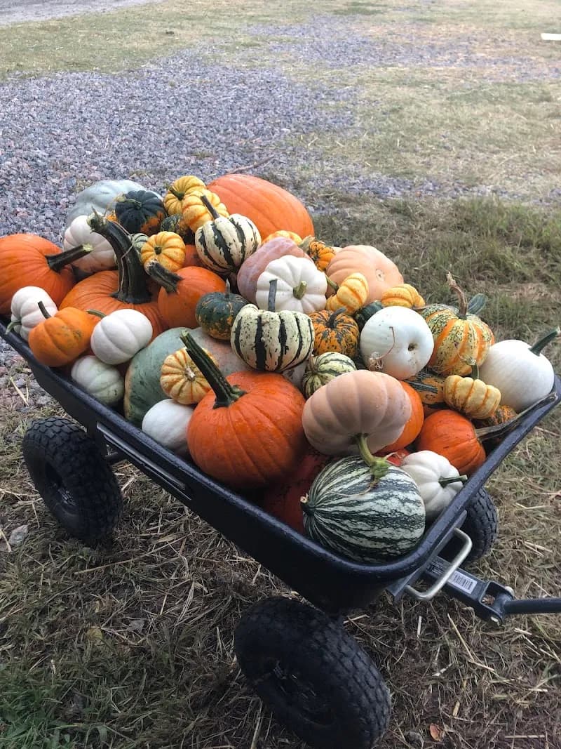 View of Lamington's Farm in Norfolk, VA