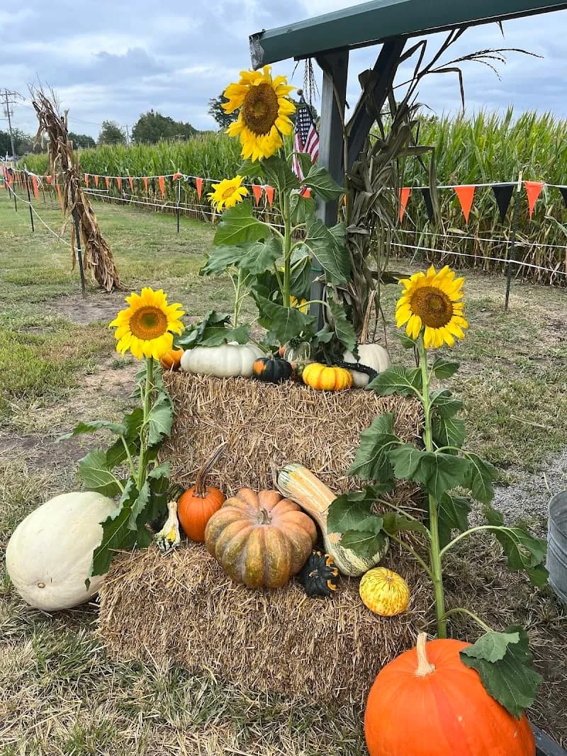 View of Lamington's Farm in Norfolk, VA