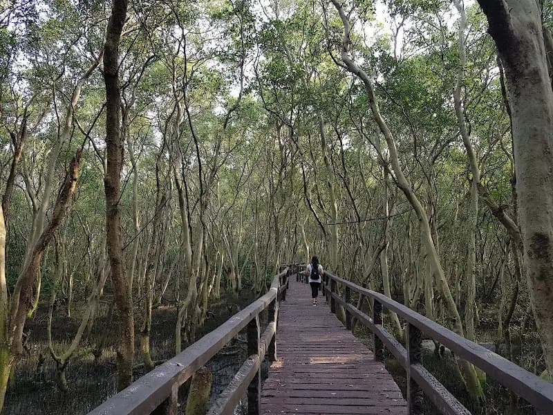 Las Piñas-Parañaque Wetland Park nature preserve in Las Piñas, NCR