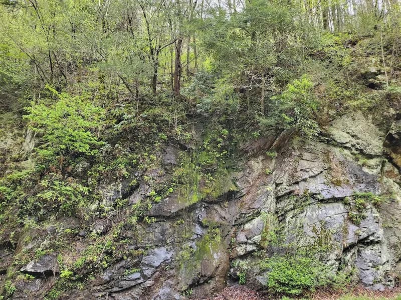 View of Laurel Creek Parking #1 in Walland, TN