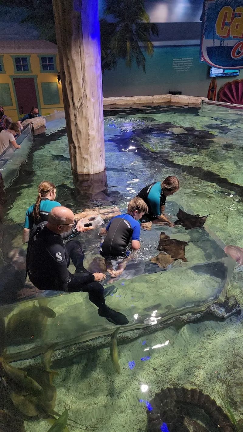 View of Layton Aquarium & Wildlife in Layton, UT