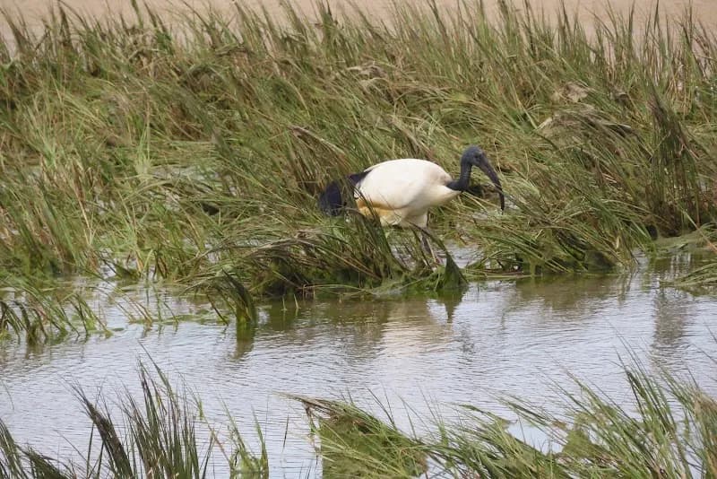 View of Leisure Isle Beach in Knysna, WC
