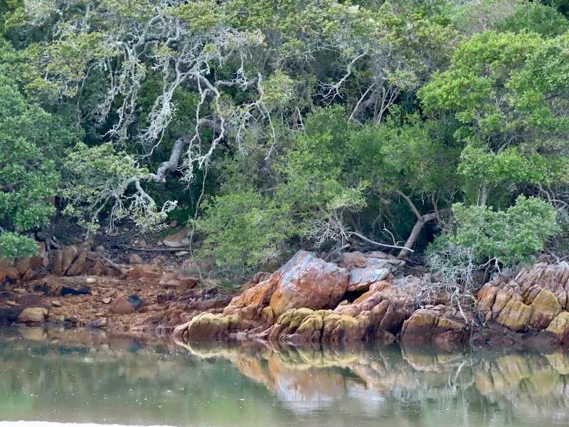 View of Leisure Isle Beach in Knysna, WC
