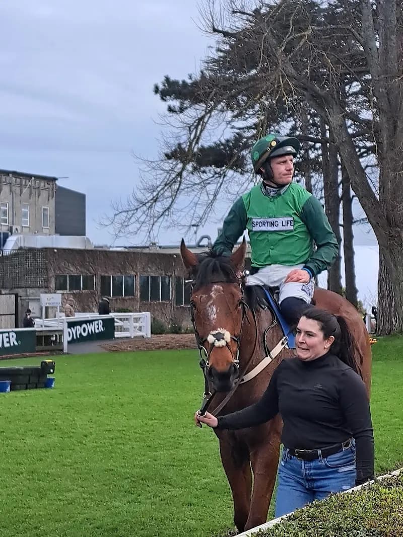 View of Leopardstown Racecourse in Dun Laoghaire, D