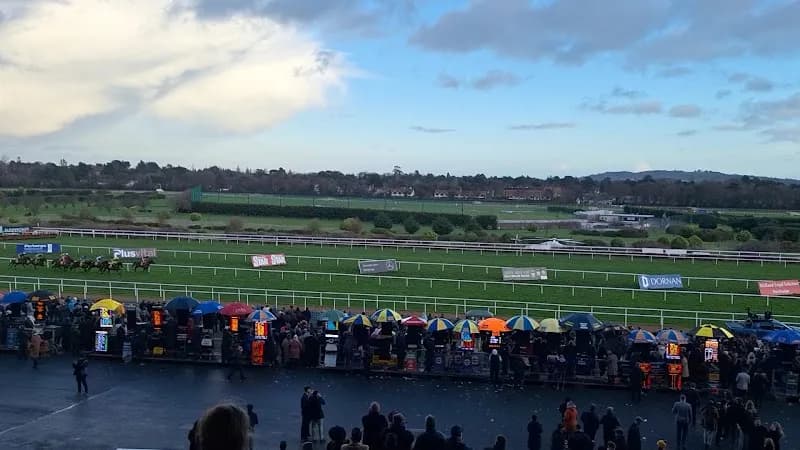 View of Leopardstown Racecourse in Dun Laoghaire, D