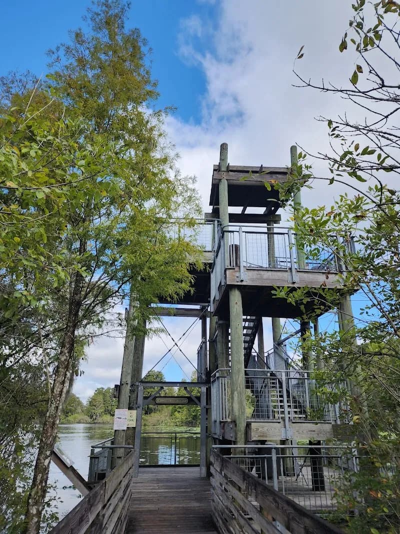 Lettuce Lake Park park in Tampa, FL
