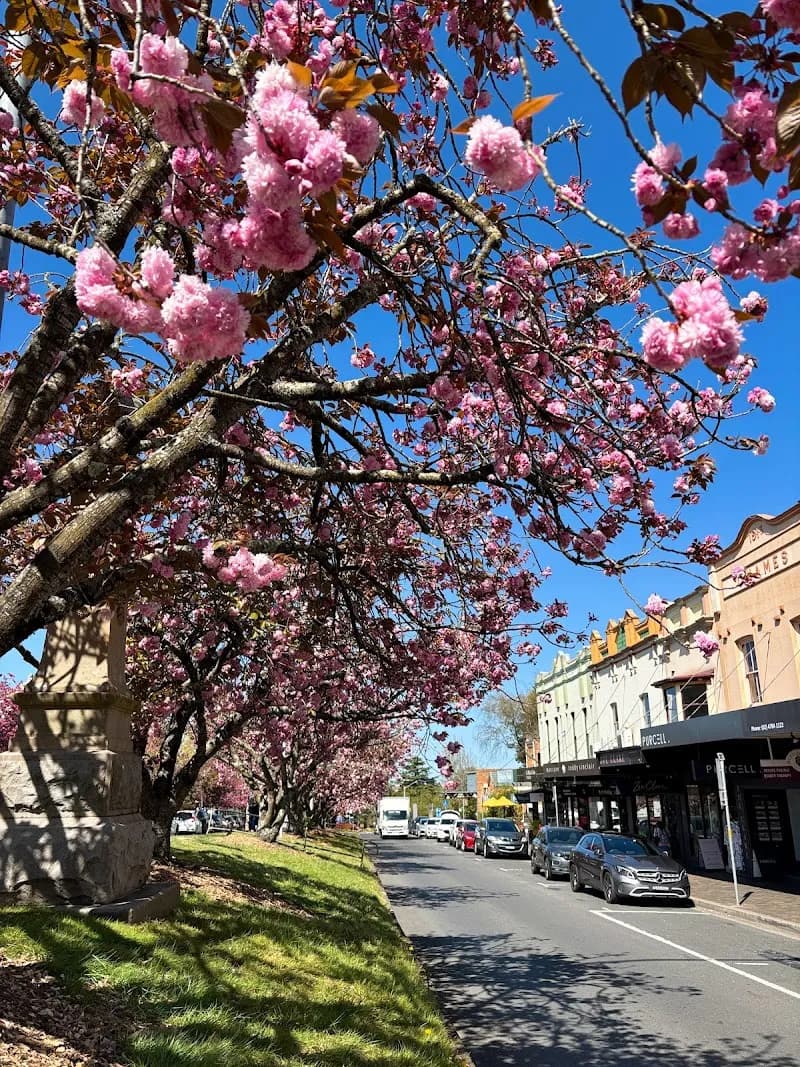 View of Leura Mall in Blue Mountains, NSW