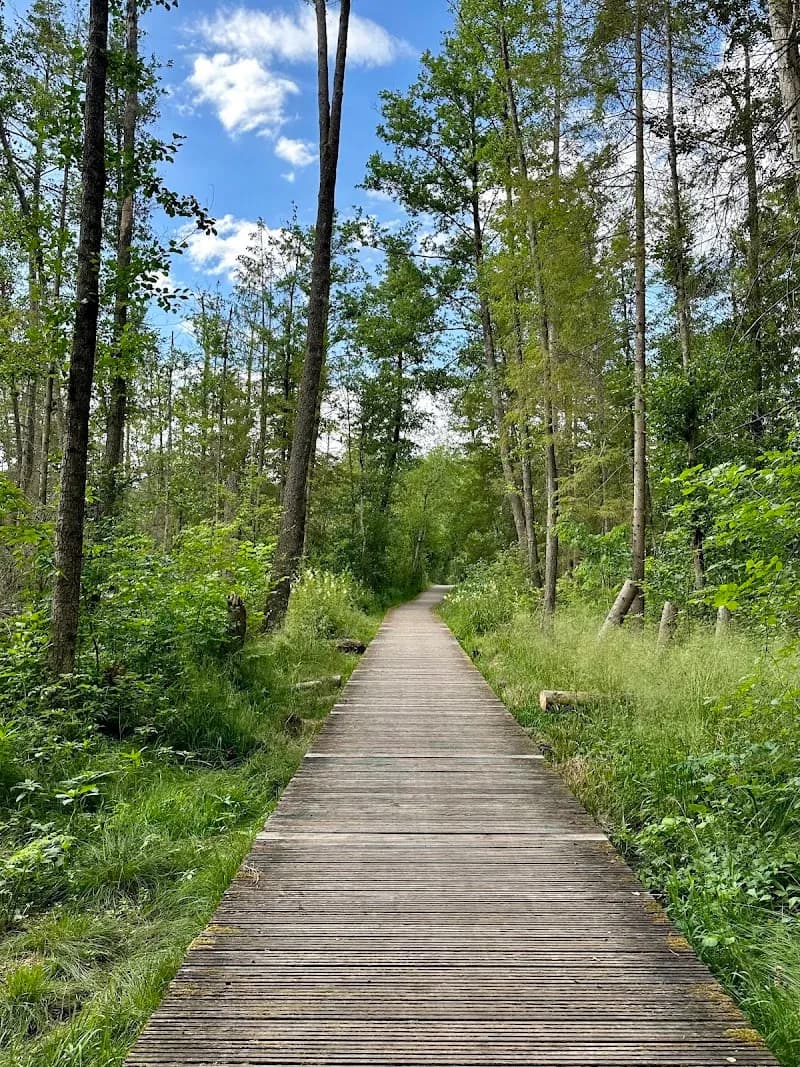 Leutstettener Moos nature preserve in Starnberg, BY