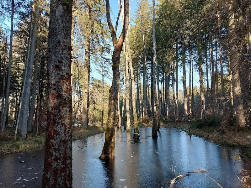 View of Leutstettener Moos in Starnberg, BY