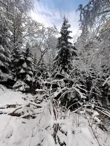 View of Lill-Jansskogen in Nacka, Stockholm