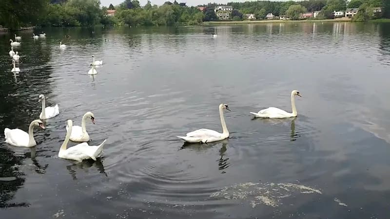View of Linlithgow Loch in Linlithgow, Scotland