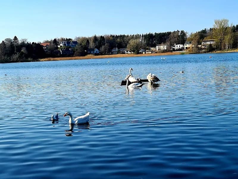 View of Linlithgow Loch in Linlithgow, Scotland