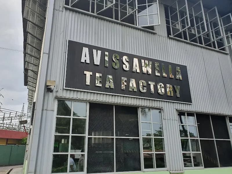 View of Local Tea Estate Visits in Avissawella, WP