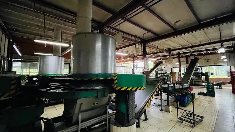 View of Local Tea Estate Visits in Avissawella, WP