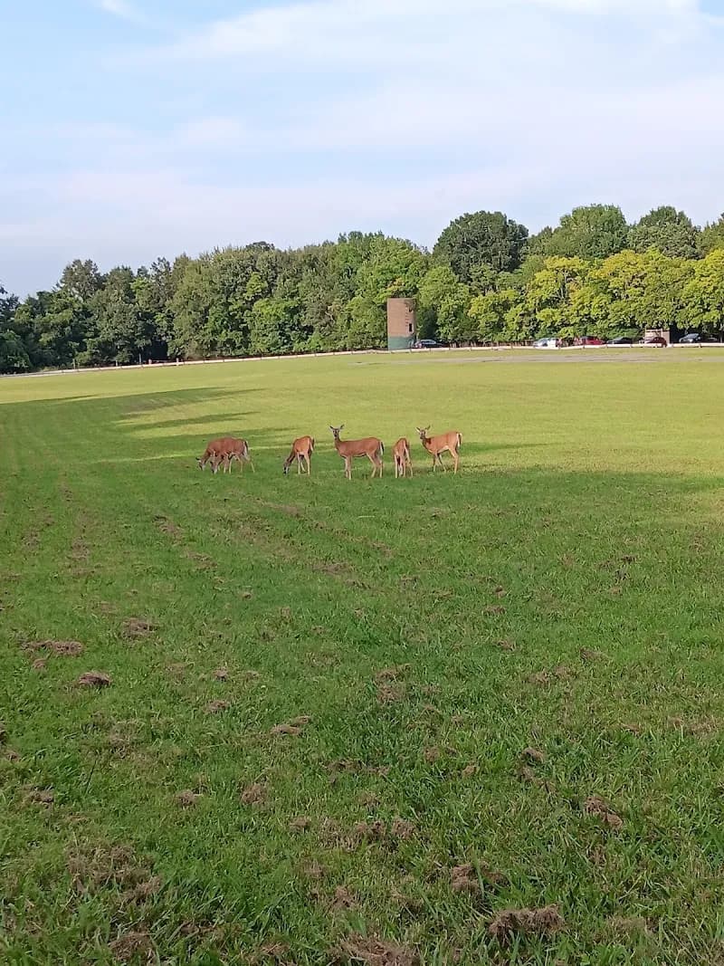 View of Lock 4 Park - The Point in Gallatin, TN