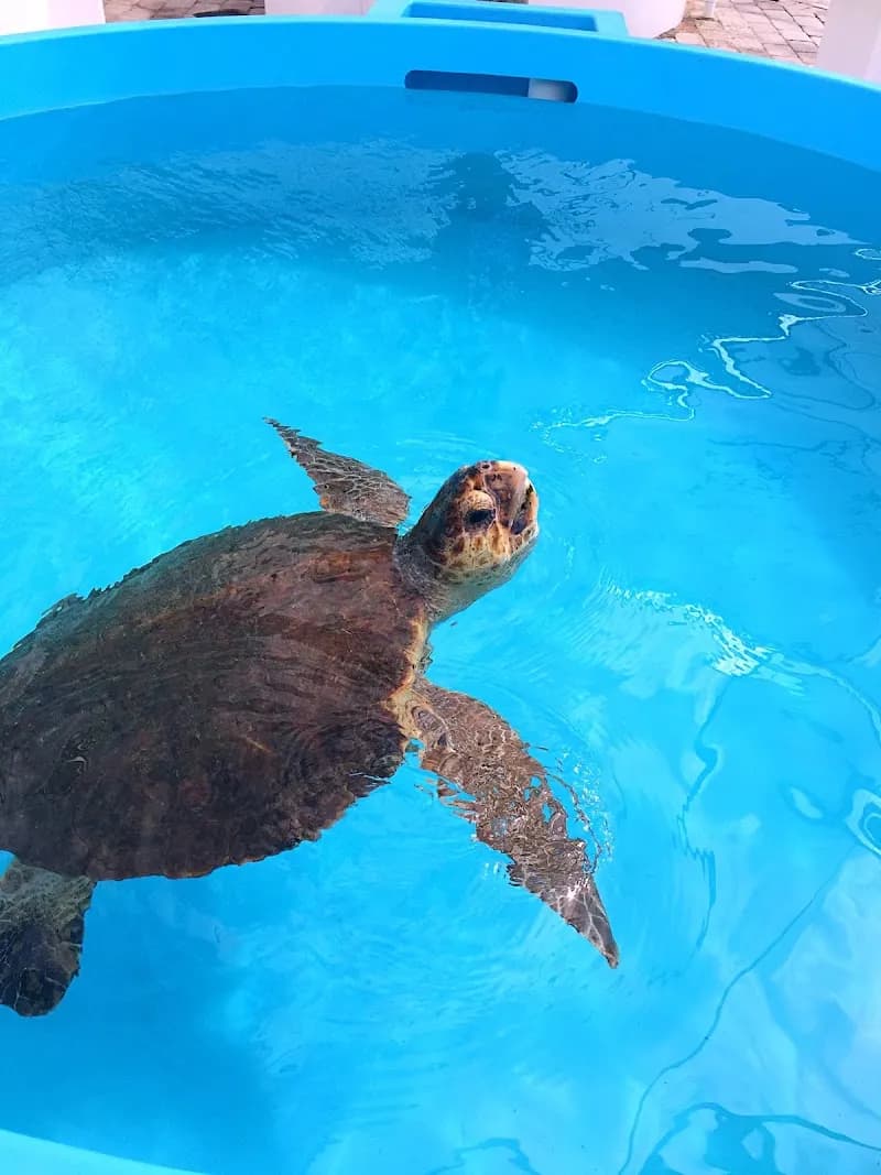 View of Loggerhead Marinelife Center in West Palm Beach, FL