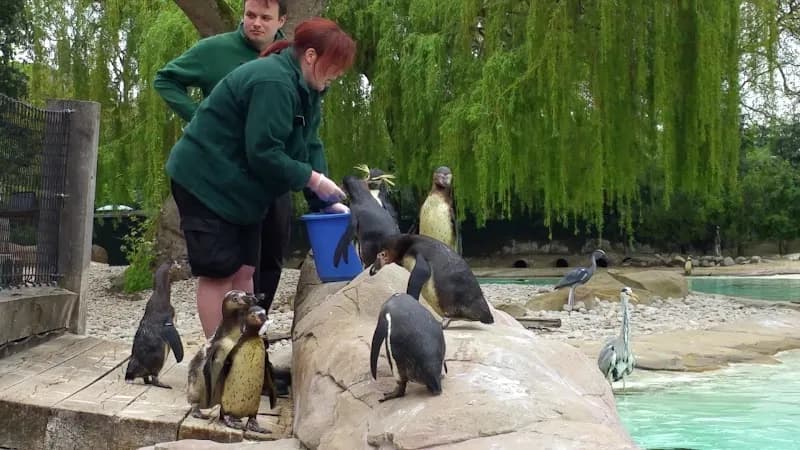 View of London Zoo in London, LDN