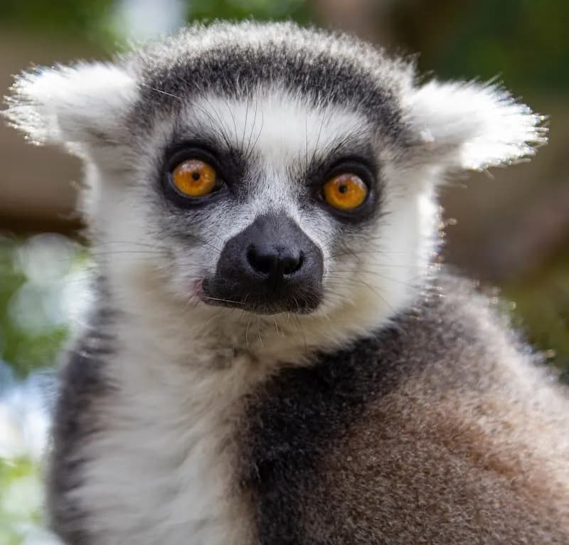 View of London Zoo in London, LDN