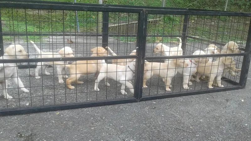 View of Los Rios, Pan Canal - Ancon Park in Ancón, PA