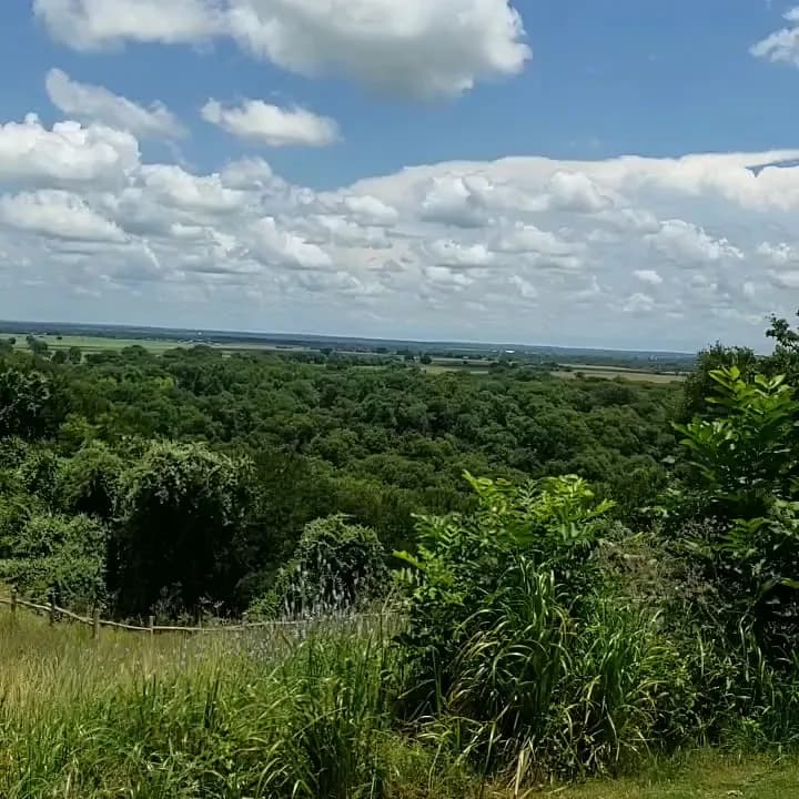 View of Lost Pines Golf Club in Potterville, MI